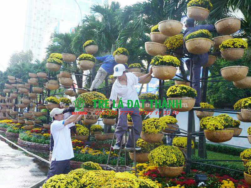Bán Thúng Tre Trang Trí Tết Giá Xưởng Tại TPHCM